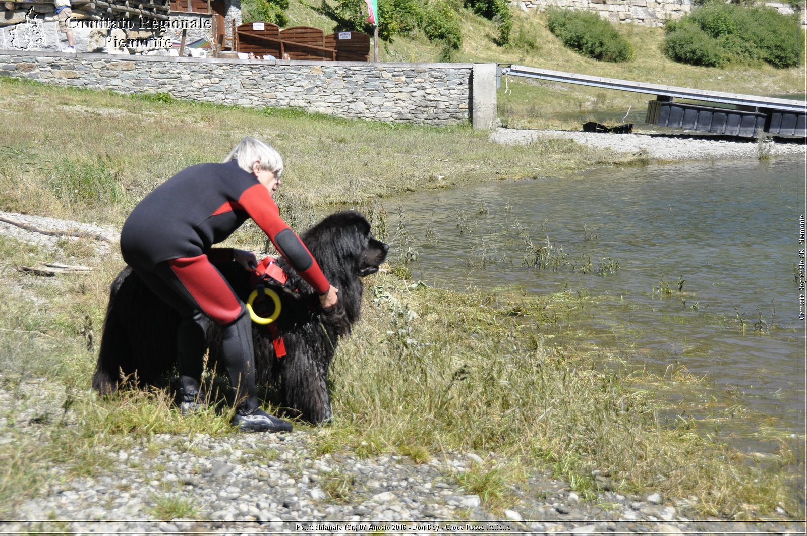 Pontechianale (CN) 7 Agosto 2016 - Dog Day - Croce Rossa Italiana - Comitato Regionale del Piemonte