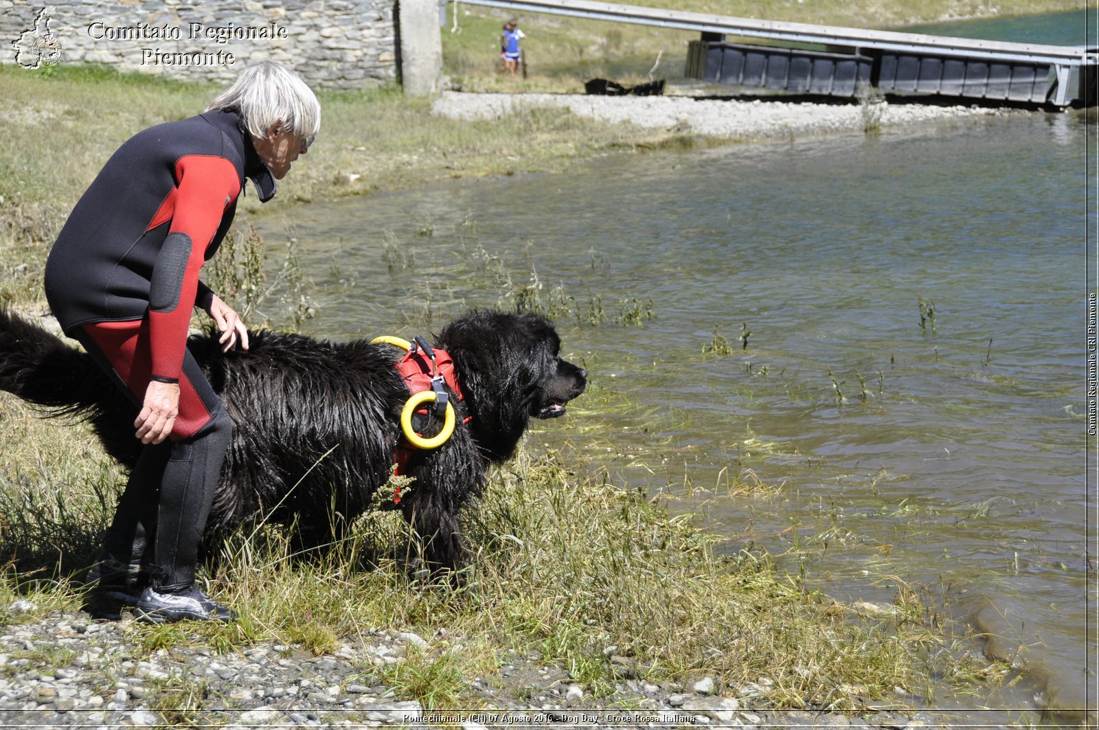 Pontechianale (CN) 7 Agosto 2016 - Dog Day - Croce Rossa Italiana - Comitato Regionale del Piemonte