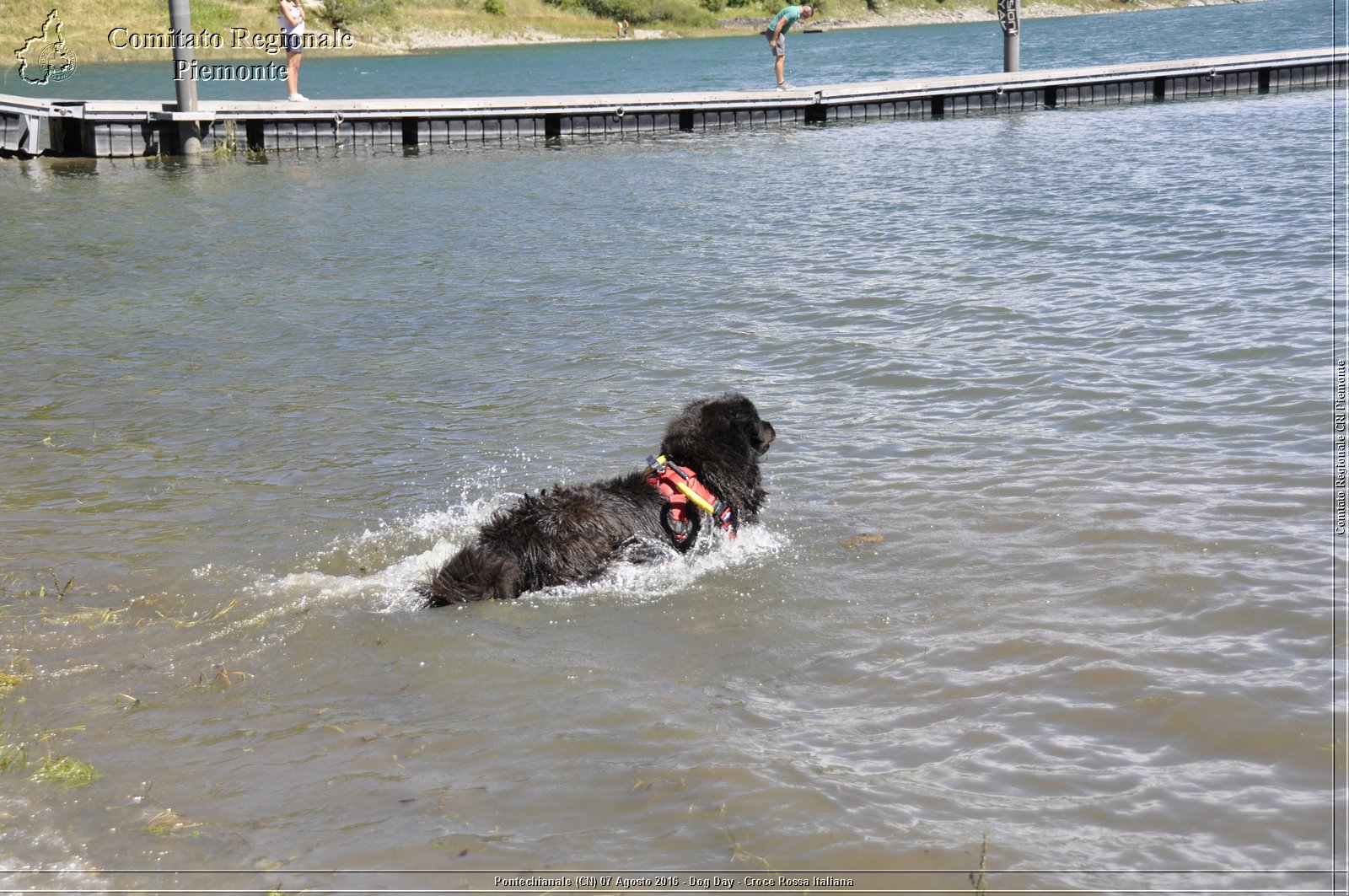 Pontechianale (CN) 7 Agosto 2016 - Dog Day - Croce Rossa Italiana - Comitato Regionale del Piemonte