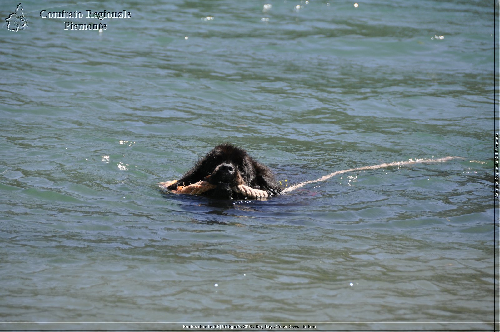 Pontechianale (CN) 7 Agosto 2016 - Dog Day - Croce Rossa Italiana - Comitato Regionale del Piemonte