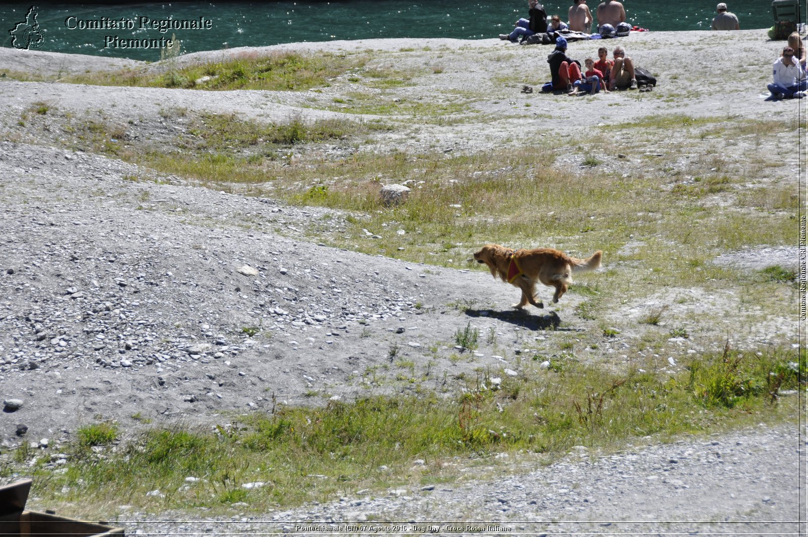 Pontechianale (CN) 7 Agosto 2016 - Dog Day - Croce Rossa Italiana - Comitato Regionale del Piemonte