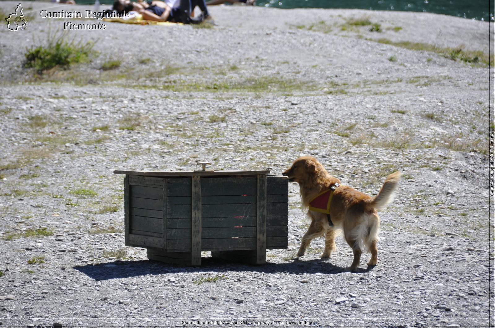 Pontechianale (CN) 7 Agosto 2016 - Dog Day - Croce Rossa Italiana - Comitato Regionale del Piemonte