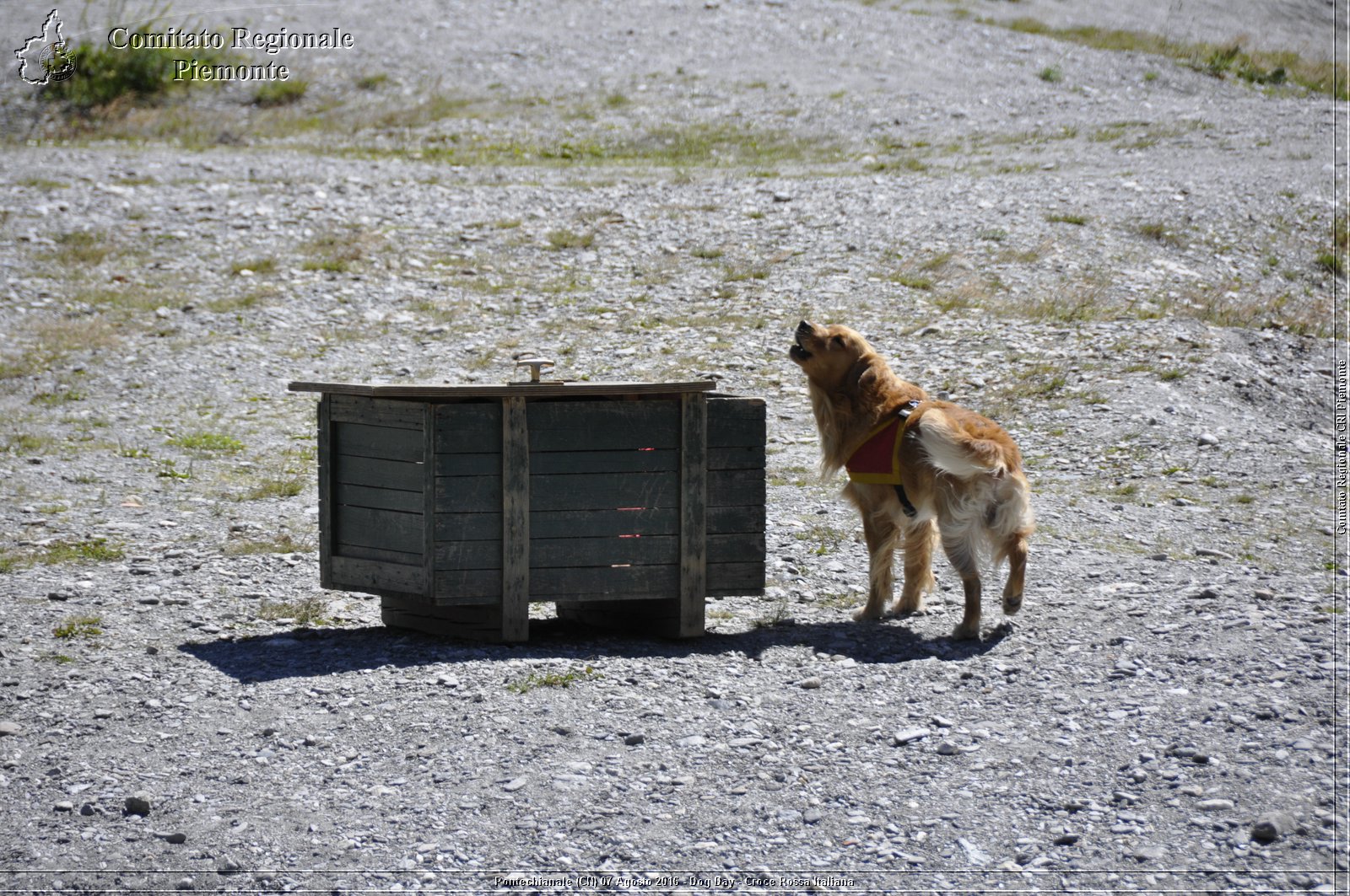 Pontechianale (CN) 7 Agosto 2016 - Dog Day - Croce Rossa Italiana - Comitato Regionale del Piemonte