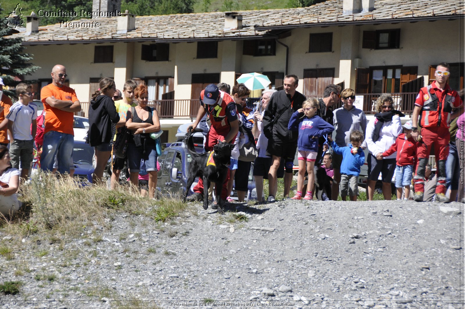 Pontechianale (CN) 7 Agosto 2016 - Dog Day - Croce Rossa Italiana - Comitato Regionale del Piemonte