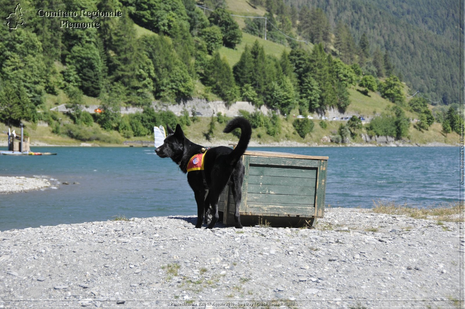 Pontechianale (CN) 7 Agosto 2016 - Dog Day - Croce Rossa Italiana - Comitato Regionale del Piemonte