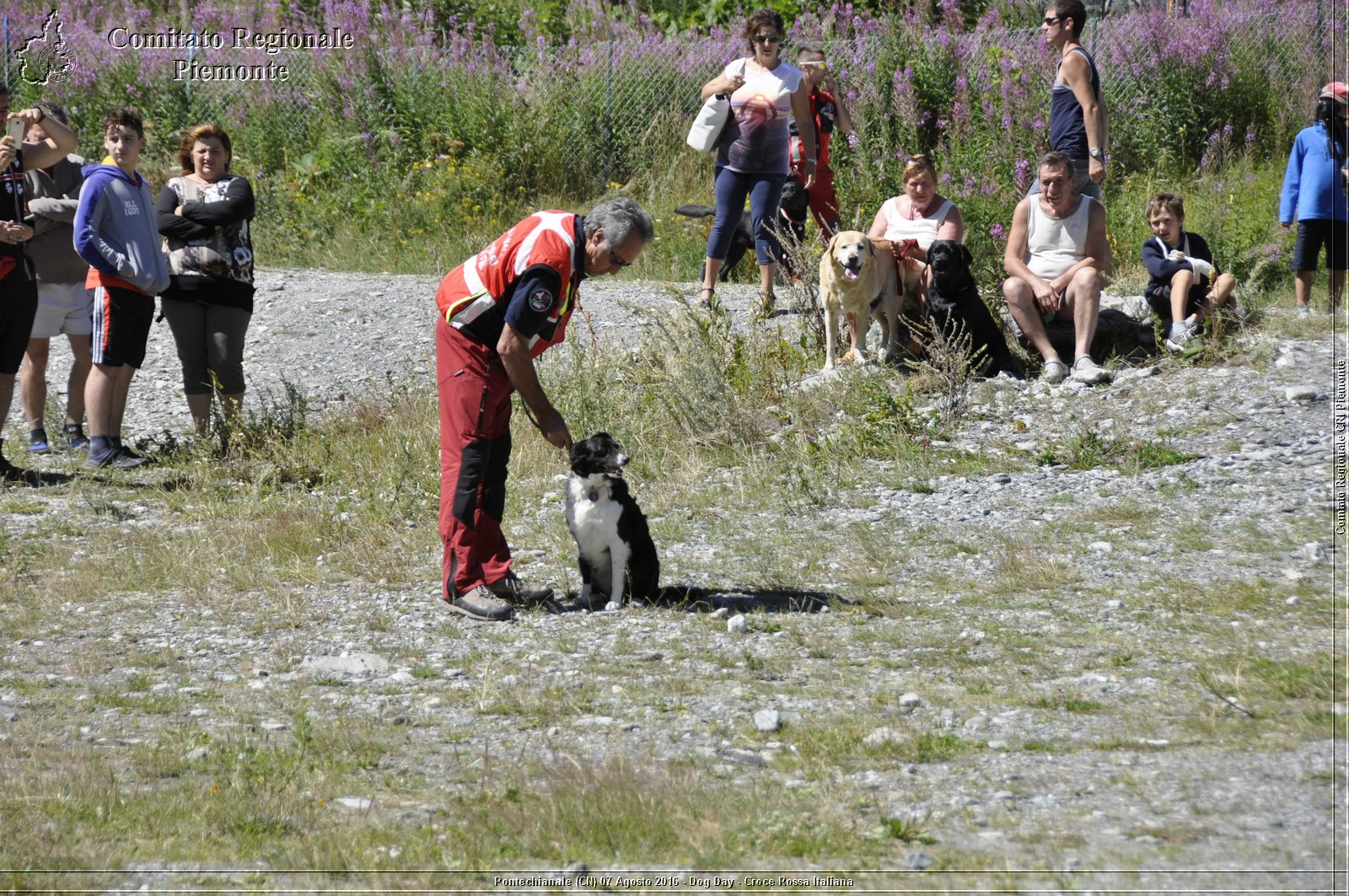 Pontechianale (CN) 7 Agosto 2016 - Dog Day - Croce Rossa Italiana - Comitato Regionale del Piemonte