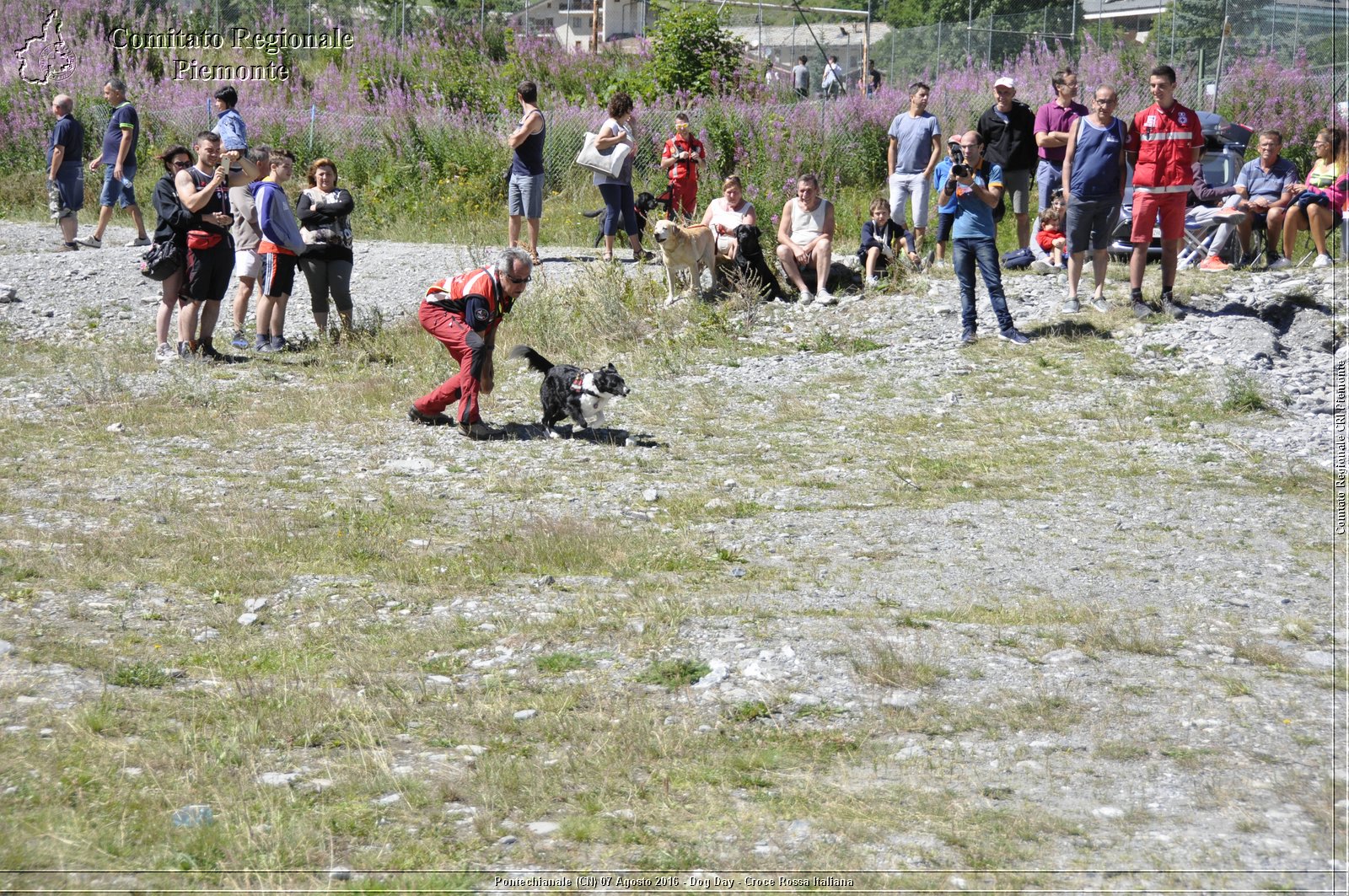 Pontechianale (CN) 7 Agosto 2016 - Dog Day - Croce Rossa Italiana - Comitato Regionale del Piemonte