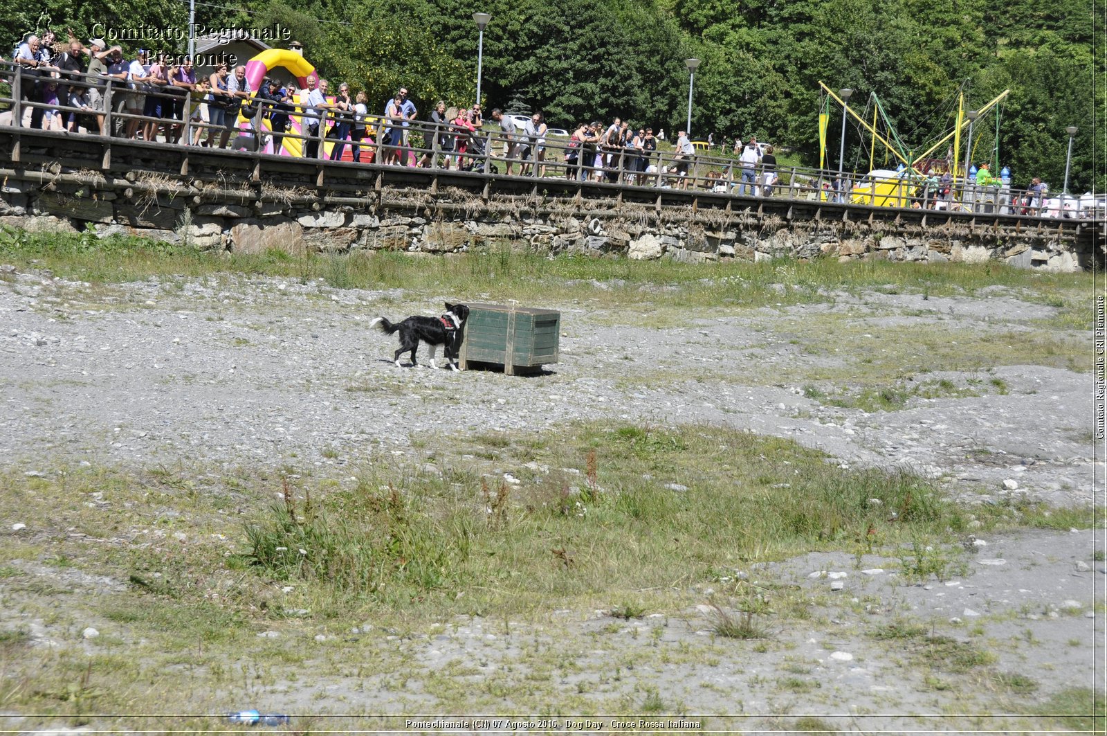 Pontechianale (CN) 7 Agosto 2016 - Dog Day - Croce Rossa Italiana - Comitato Regionale del Piemonte