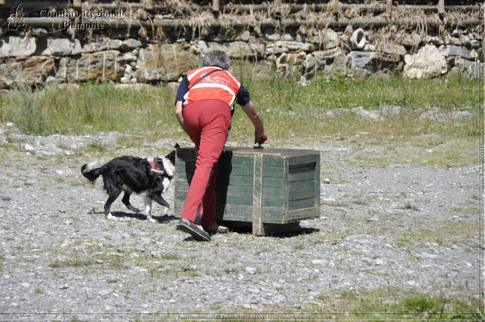 Pontechianale (CN) 7 Agosto 2016 - Dog Day - Croce Rossa Italiana - Comitato Regionale del Piemonte