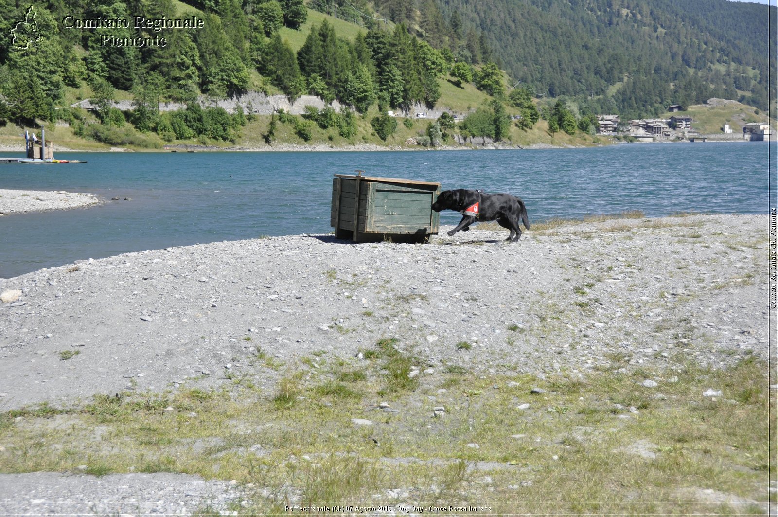 Pontechianale (CN) 7 Agosto 2016 - Dog Day - Croce Rossa Italiana - Comitato Regionale del Piemonte