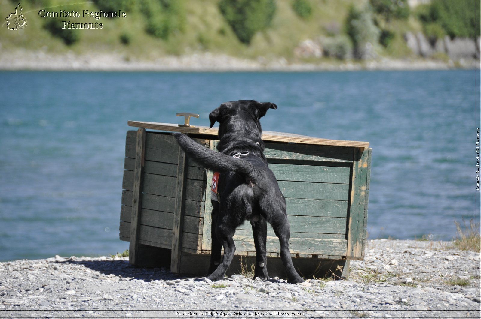 Pontechianale (CN) 7 Agosto 2016 - Dog Day - Croce Rossa Italiana - Comitato Regionale del Piemonte