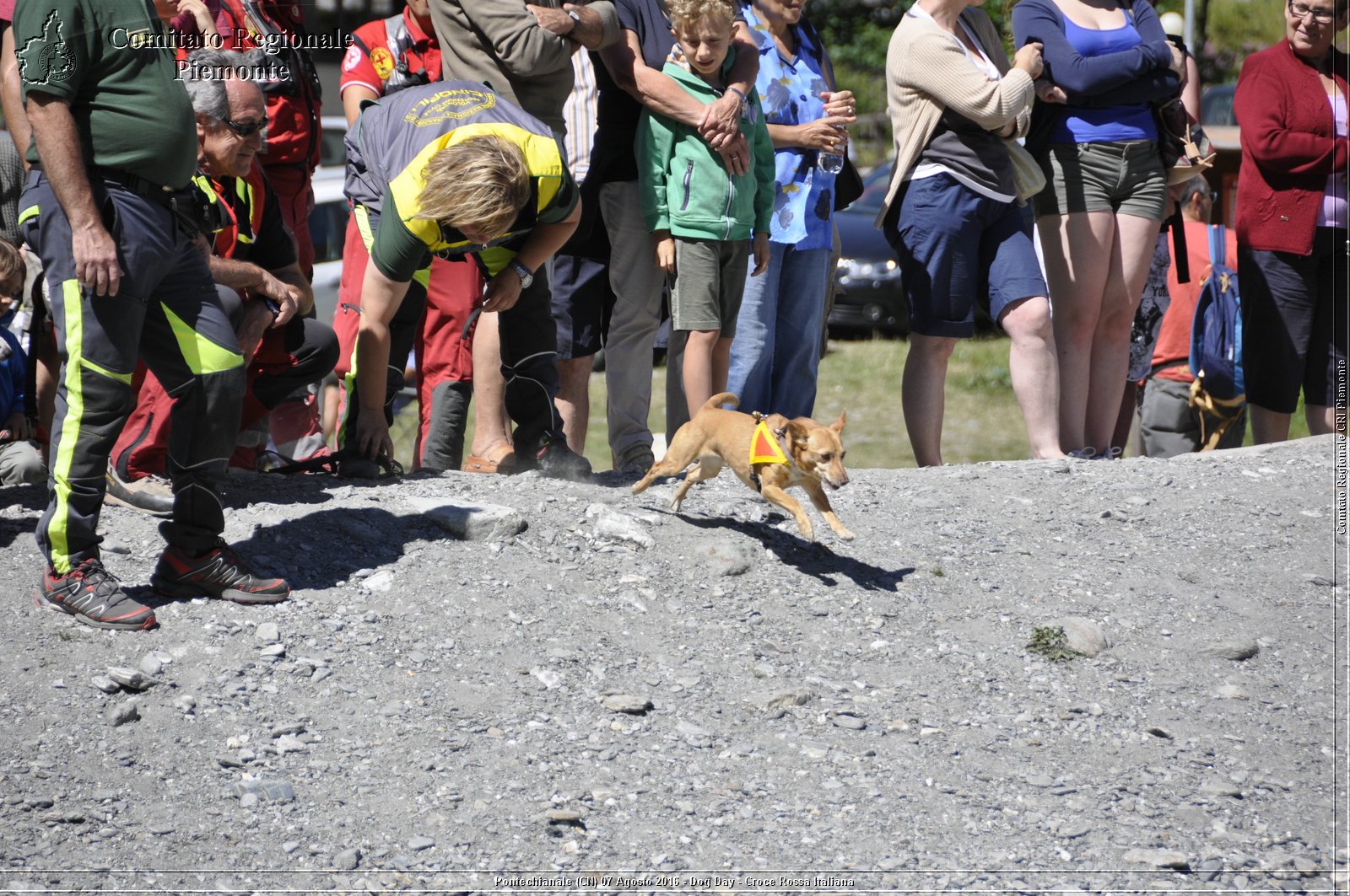 Pontechianale (CN) 7 Agosto 2016 - Dog Day - Croce Rossa Italiana - Comitato Regionale del Piemonte