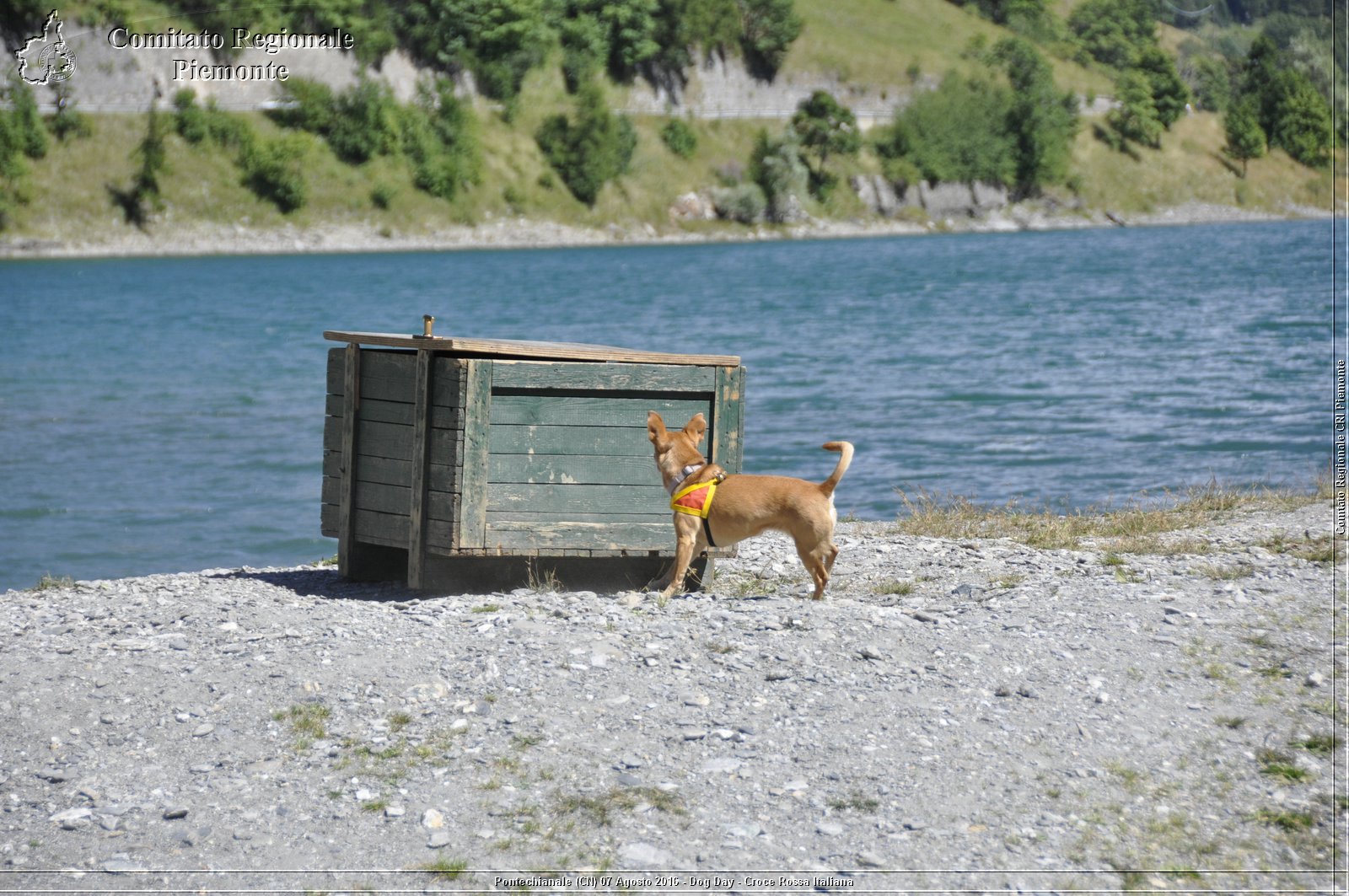 Pontechianale (CN) 7 Agosto 2016 - Dog Day - Croce Rossa Italiana - Comitato Regionale del Piemonte