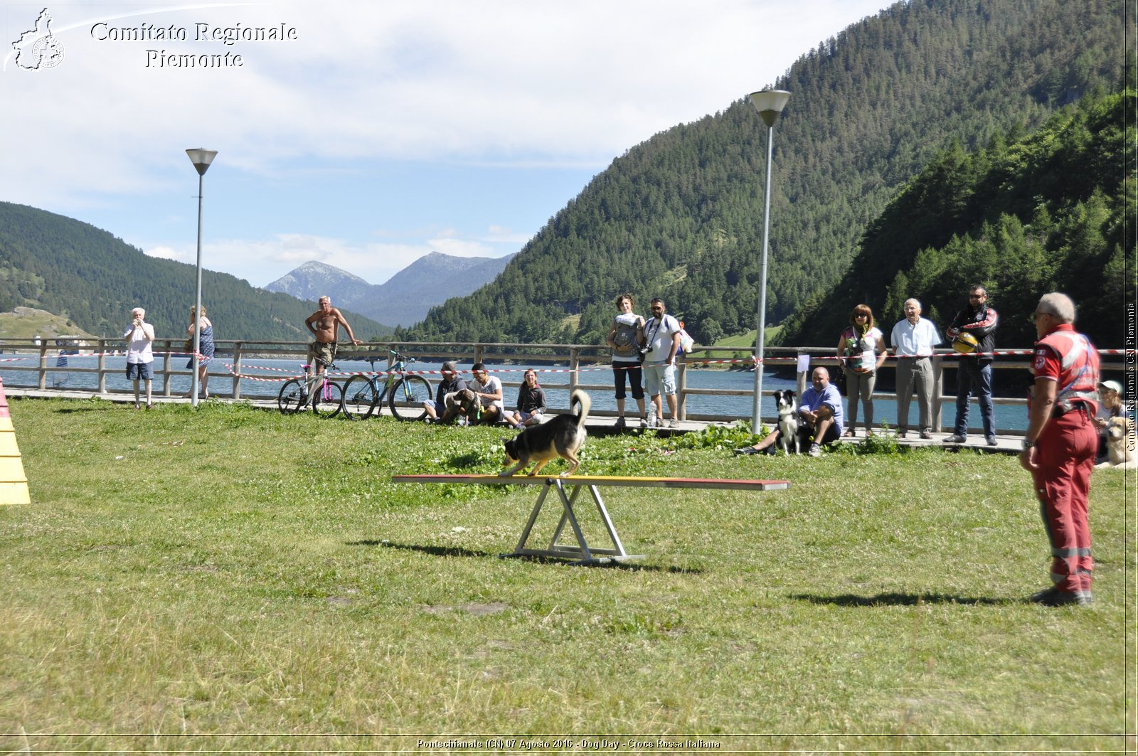 Pontechianale (CN) 7 Agosto 2016 - Dog Day - Croce Rossa Italiana - Comitato Regionale del Piemonte