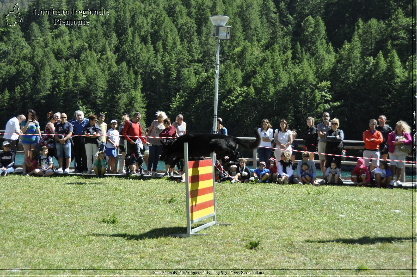 Pontechianale (CN) 7 Agosto 2016 - Dog Day - Croce Rossa Italiana - Comitato Regionale del Piemonte