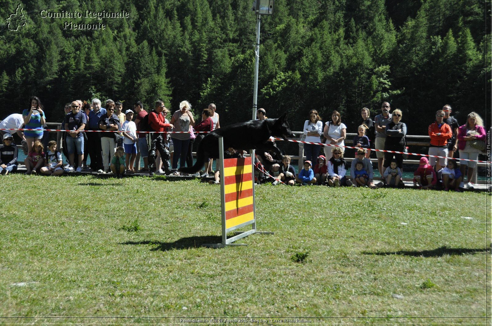 Pontechianale (CN) 7 Agosto 2016 - Dog Day - Croce Rossa Italiana - Comitato Regionale del Piemonte