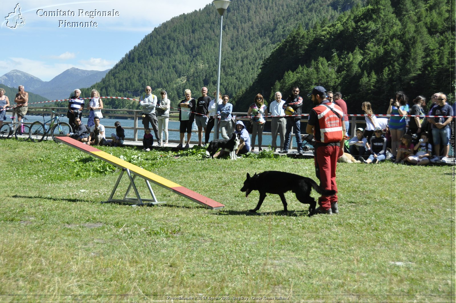 Pontechianale (CN) 7 Agosto 2016 - Dog Day - Croce Rossa Italiana - Comitato Regionale del Piemonte