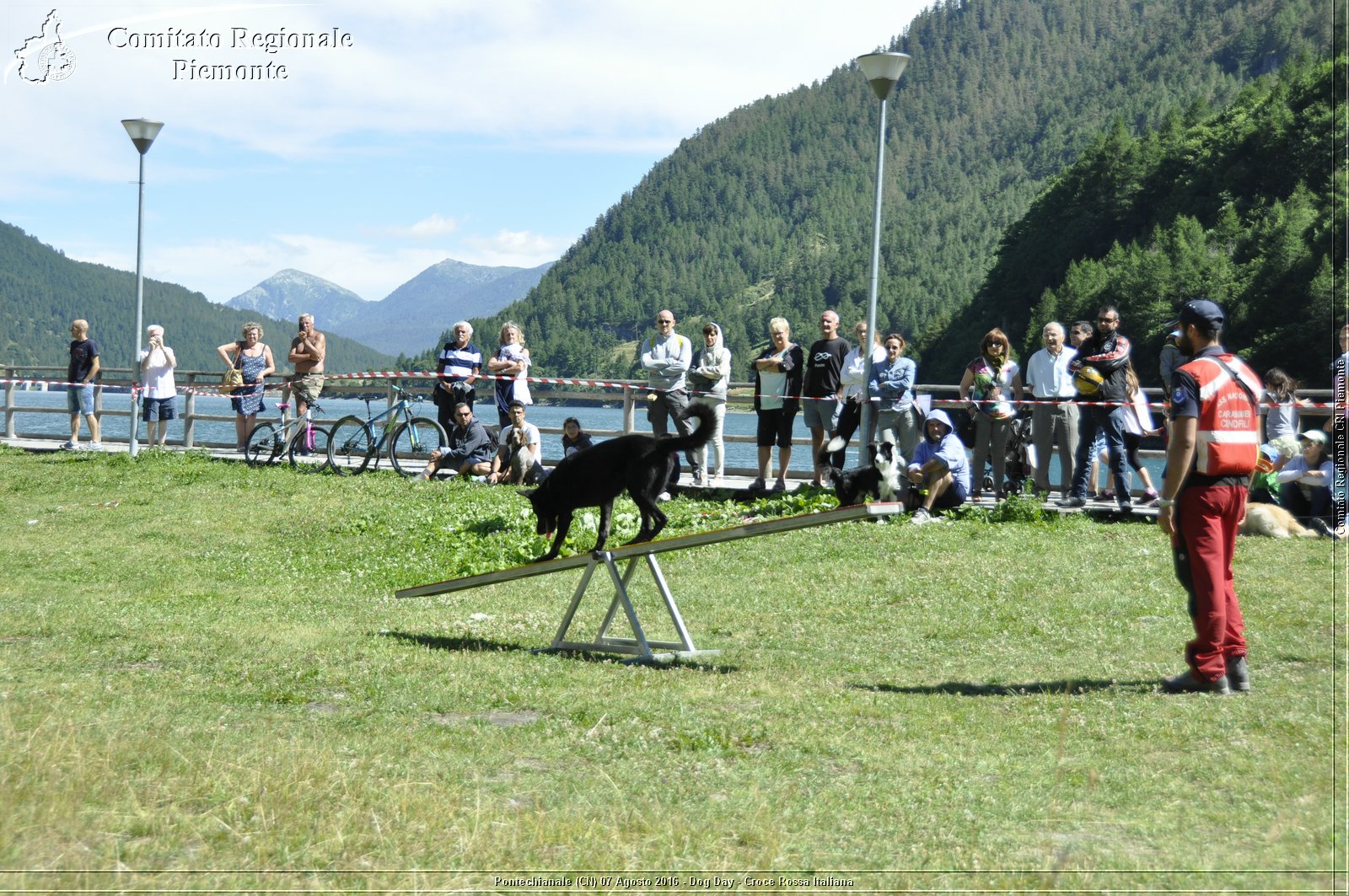 Pontechianale (CN) 7 Agosto 2016 - Dog Day - Croce Rossa Italiana - Comitato Regionale del Piemonte