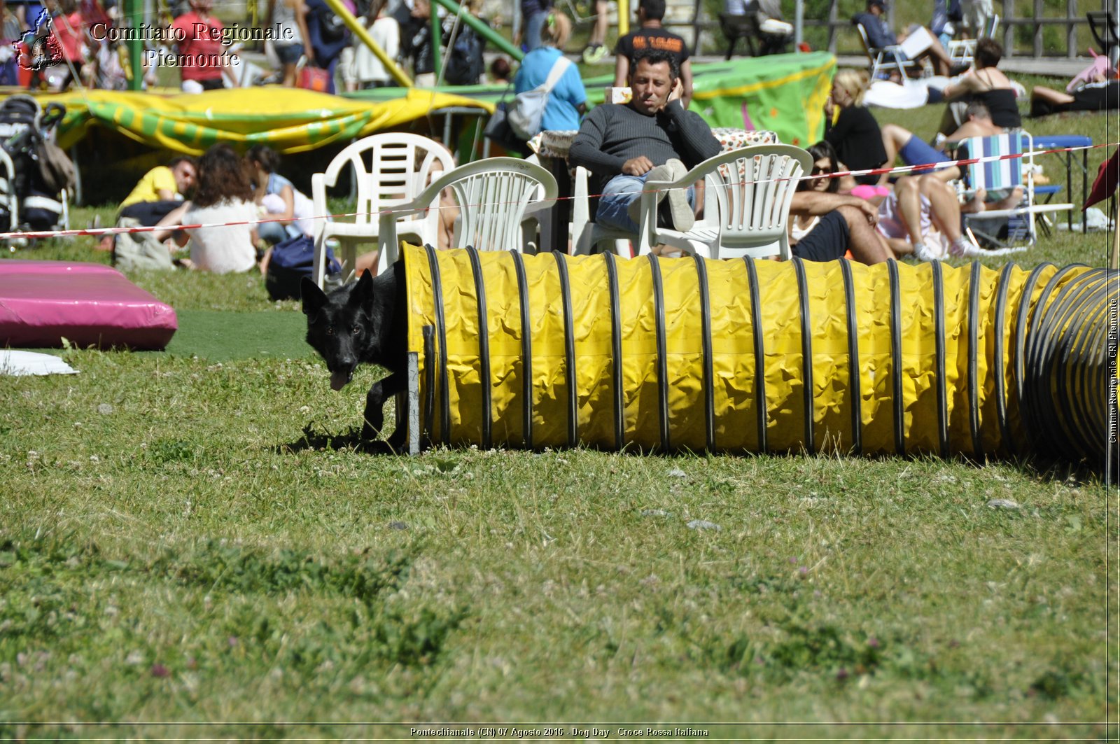 Pontechianale (CN) 7 Agosto 2016 - Dog Day - Croce Rossa Italiana - Comitato Regionale del Piemonte