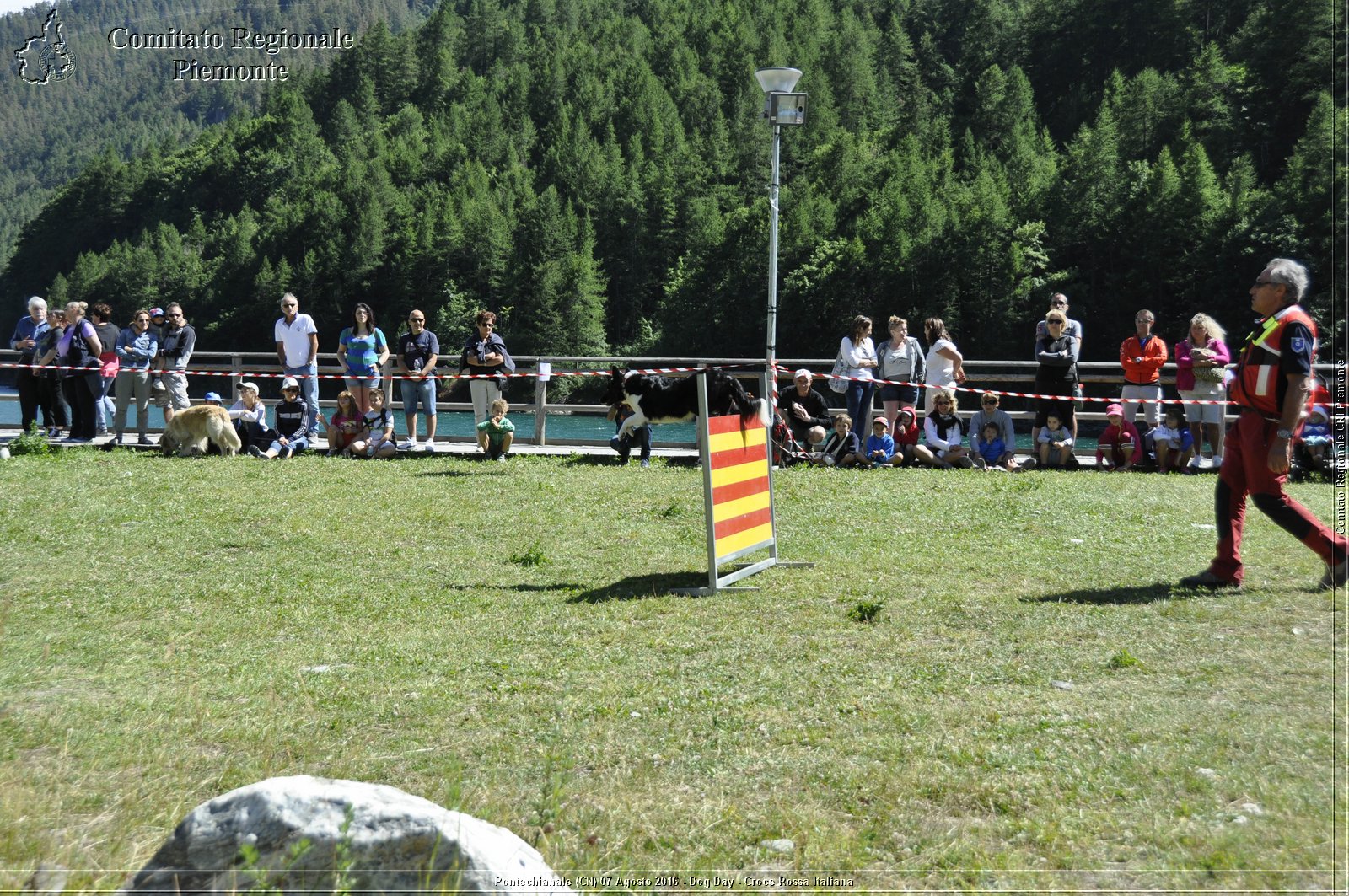 Pontechianale (CN) 7 Agosto 2016 - Dog Day - Croce Rossa Italiana - Comitato Regionale del Piemonte