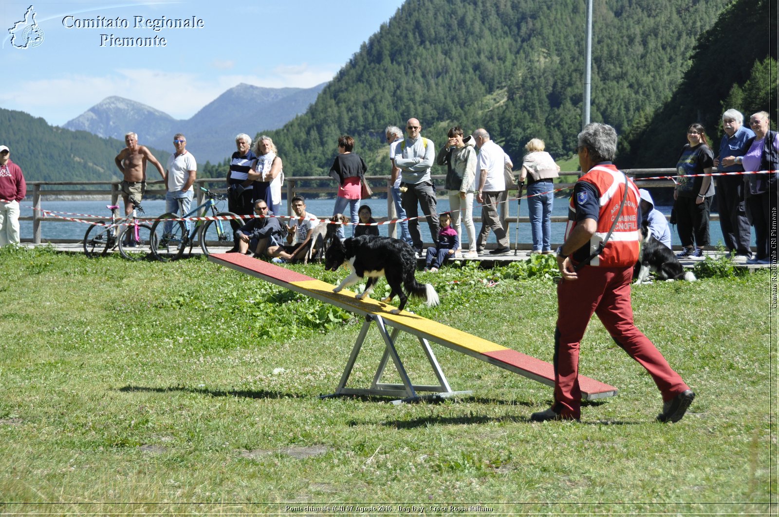 Pontechianale (CN) 7 Agosto 2016 - Dog Day - Croce Rossa Italiana - Comitato Regionale del Piemonte