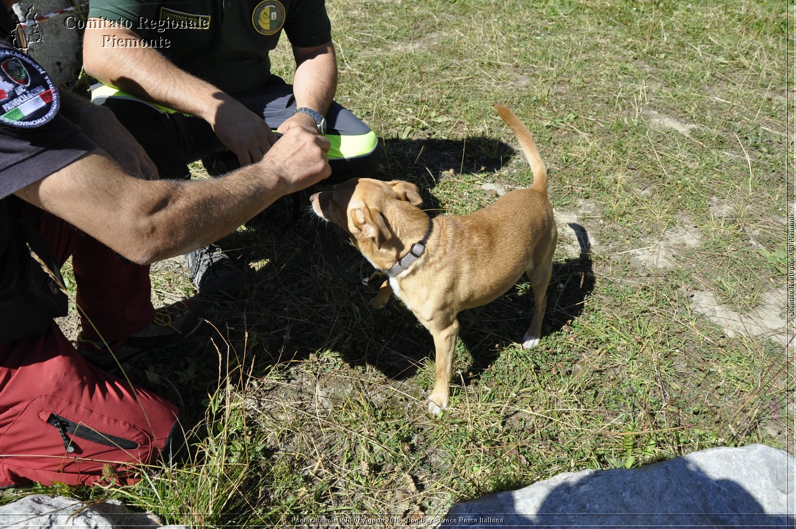 Pontechianale (CN) 7 Agosto 2016 - Dog Day - Croce Rossa Italiana - Comitato Regionale del Piemonte