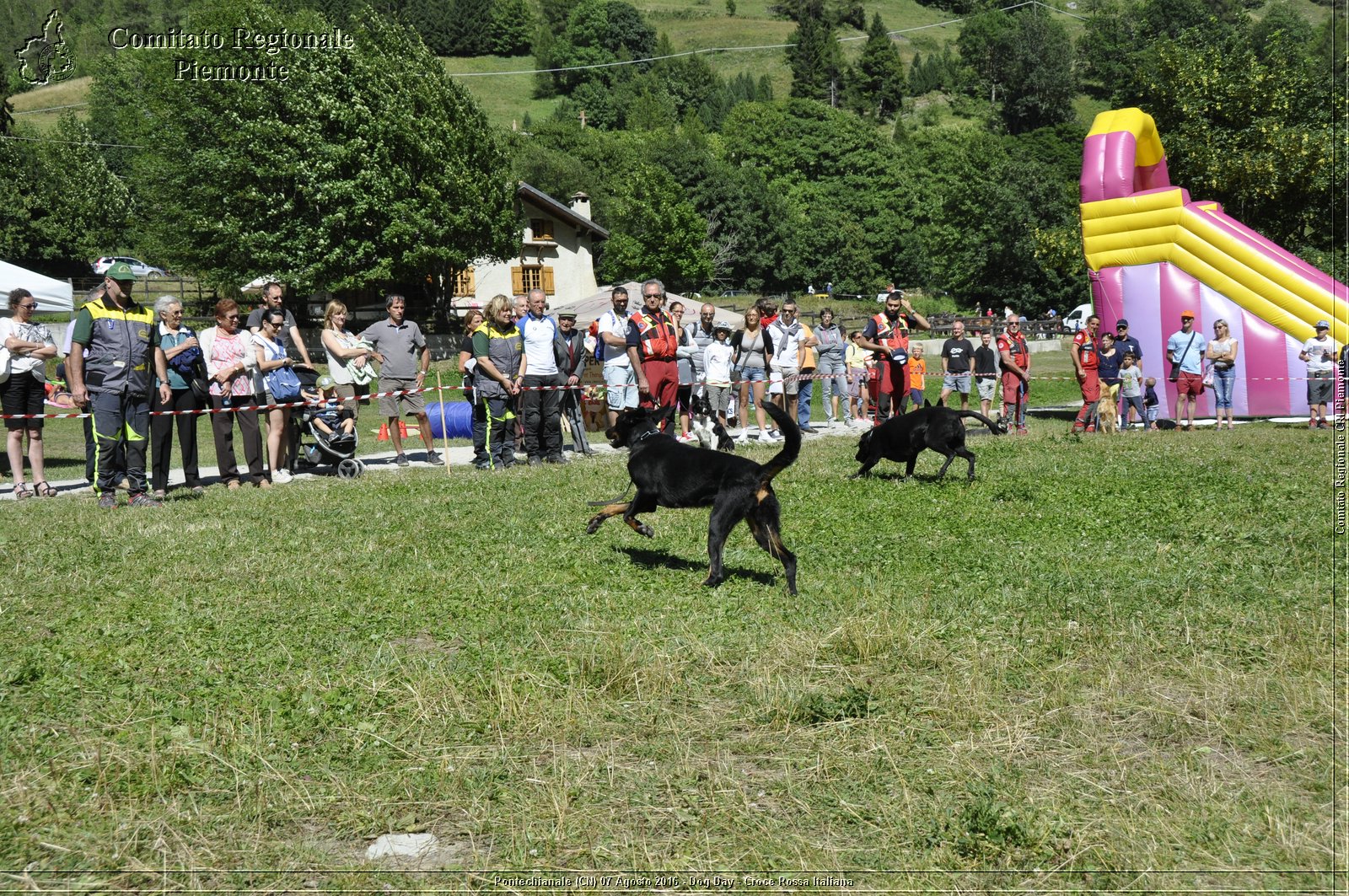 Pontechianale (CN) 7 Agosto 2016 - Dog Day - Croce Rossa Italiana - Comitato Regionale del Piemonte