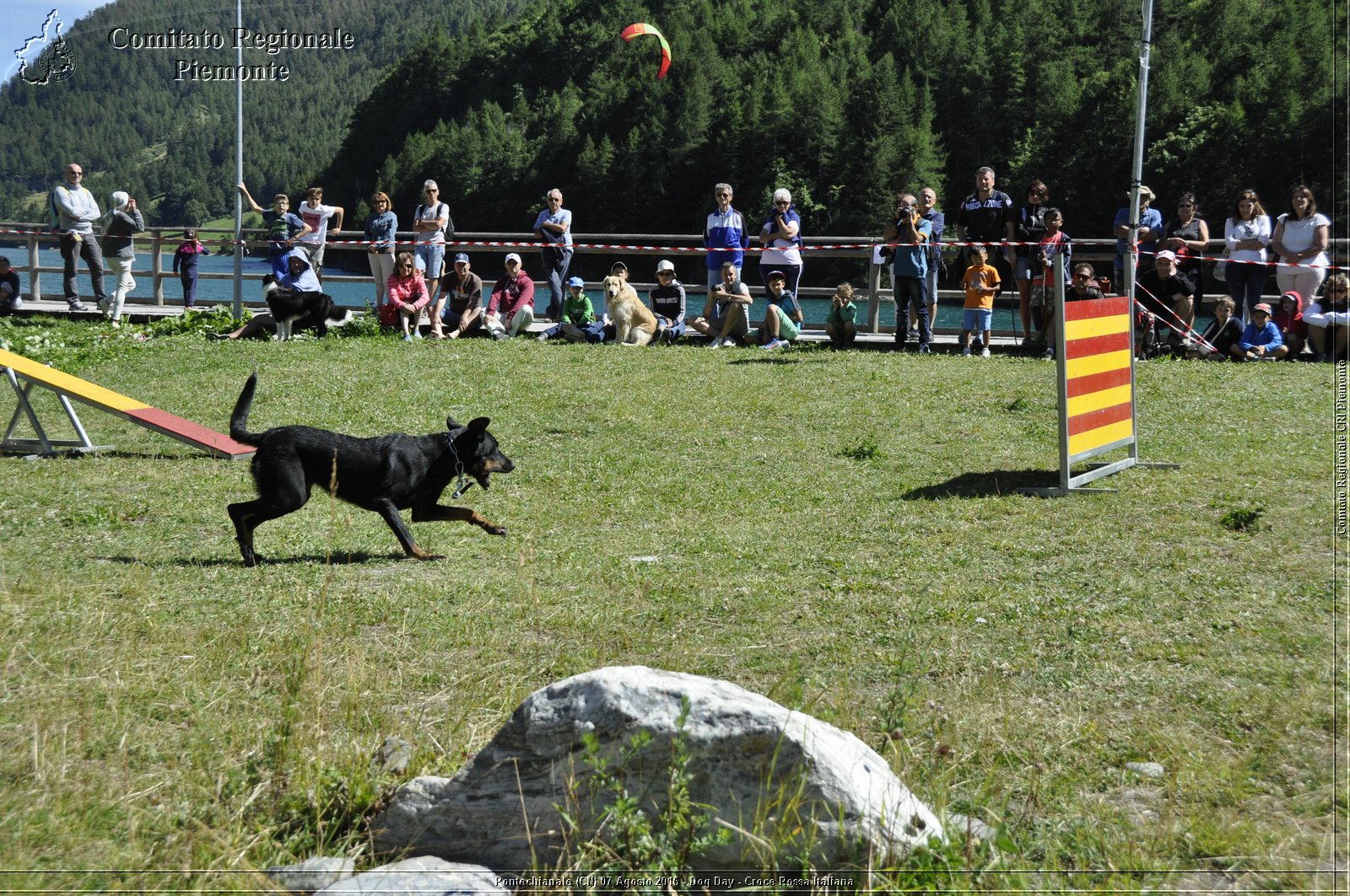 Pontechianale (CN) 7 Agosto 2016 - Dog Day - Croce Rossa Italiana - Comitato Regionale del Piemonte