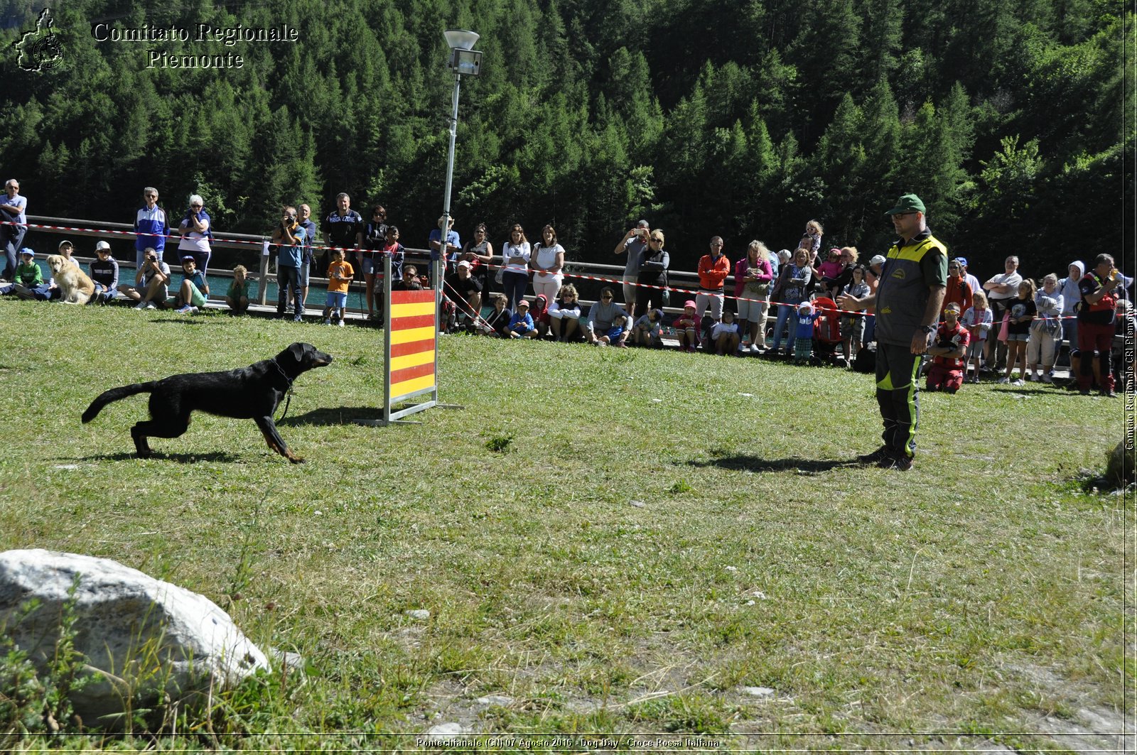 Pontechianale (CN) 7 Agosto 2016 - Dog Day - Croce Rossa Italiana - Comitato Regionale del Piemonte