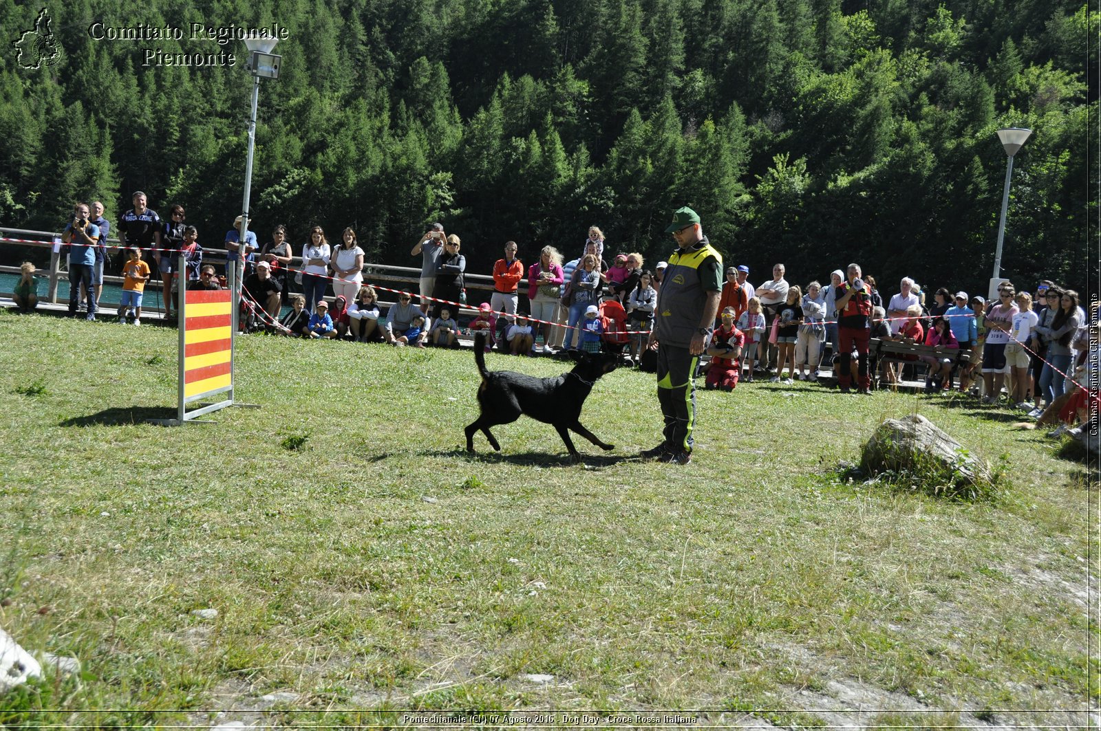 Pontechianale (CN) 7 Agosto 2016 - Dog Day - Croce Rossa Italiana - Comitato Regionale del Piemonte