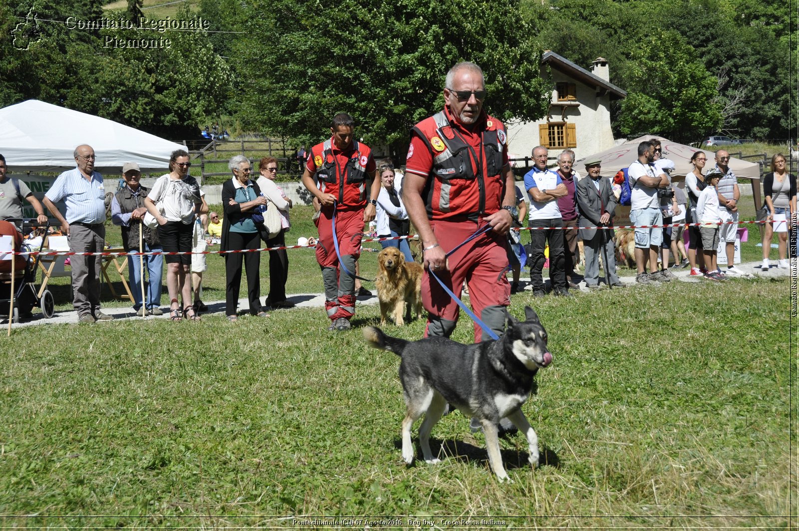 Pontechianale (CN) 7 Agosto 2016 - Dog Day - Croce Rossa Italiana - Comitato Regionale del Piemonte