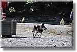 Pontechianale (CN) 7 Agosto 2016 - Dog Day - Croce Rossa Italiana - Comitato Regionale del Piemonte