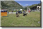 Pontechianale (CN) 7 Agosto 2016 - Dog Day - Croce Rossa Italiana - Comitato Regionale del Piemonte