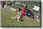 Pontechianale (CN) 7 Agosto 2016 - Dog Day - Croce Rossa Italiana - Comitato Regionale del Piemonte