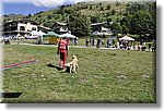 Pontechianale (CN) 7 Agosto 2016 - Dog Day - Croce Rossa Italiana - Comitato Regionale del Piemonte