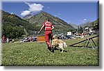 Pontechianale (CN) 7 Agosto 2016 - Dog Day - Croce Rossa Italiana - Comitato Regionale del Piemonte