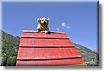 Pontechianale (CN) 7 Agosto 2016 - Dog Day - Croce Rossa Italiana - Comitato Regionale del Piemonte