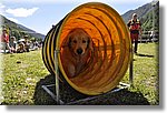 Pontechianale (CN) 7 Agosto 2016 - Dog Day - Croce Rossa Italiana - Comitato Regionale del Piemonte