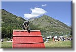 Pontechianale (CN) 7 Agosto 2016 - Dog Day - Croce Rossa Italiana - Comitato Regionale del Piemonte