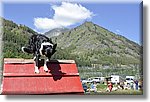 Pontechianale (CN) 7 Agosto 2016 - Dog Day - Croce Rossa Italiana - Comitato Regionale del Piemonte