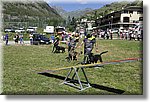 Pontechianale (CN) 7 Agosto 2016 - Dog Day - Croce Rossa Italiana - Comitato Regionale del Piemonte