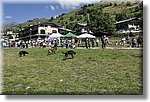 Pontechianale (CN) 7 Agosto 2016 - Dog Day - Croce Rossa Italiana - Comitato Regionale del Piemonte