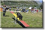 Pontechianale (CN) 7 Agosto 2016 - Dog Day - Croce Rossa Italiana - Comitato Regionale del Piemonte