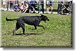 Pontechianale (CN) 7 Agosto 2016 - Dog Day - Croce Rossa Italiana - Comitato Regionale del Piemonte