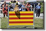 Pontechianale (CN) 7 Agosto 2016 - Dog Day - Croce Rossa Italiana - Comitato Regionale del Piemonte