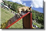 Pontechianale (CN) 7 Agosto 2016 - Dog Day - Croce Rossa Italiana - Comitato Regionale del Piemonte