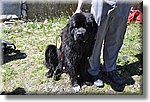 Pontechianale (CN) 7 Agosto 2016 - Dog Day - Croce Rossa Italiana - Comitato Regionale del Piemonte