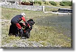 Pontechianale (CN) 7 Agosto 2016 - Dog Day - Croce Rossa Italiana - Comitato Regionale del Piemonte