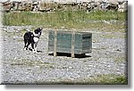 Pontechianale (CN) 7 Agosto 2016 - Dog Day - Croce Rossa Italiana - Comitato Regionale del Piemonte