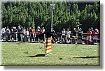 Pontechianale (CN) 7 Agosto 2016 - Dog Day - Croce Rossa Italiana - Comitato Regionale del Piemonte